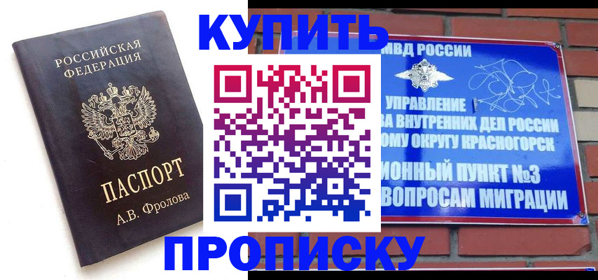 прописка поиск в Камешково
